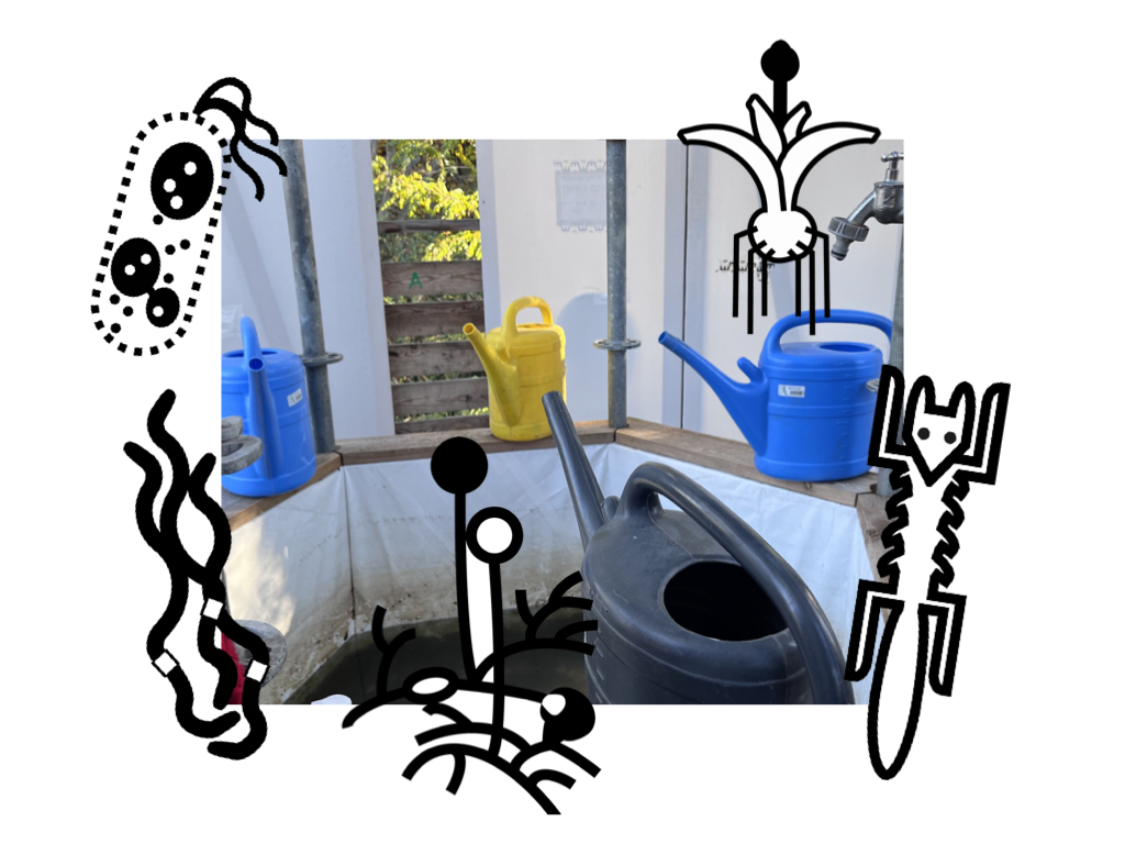 prototyper la cohabitation avec le vivant - dispositifs d'engagement