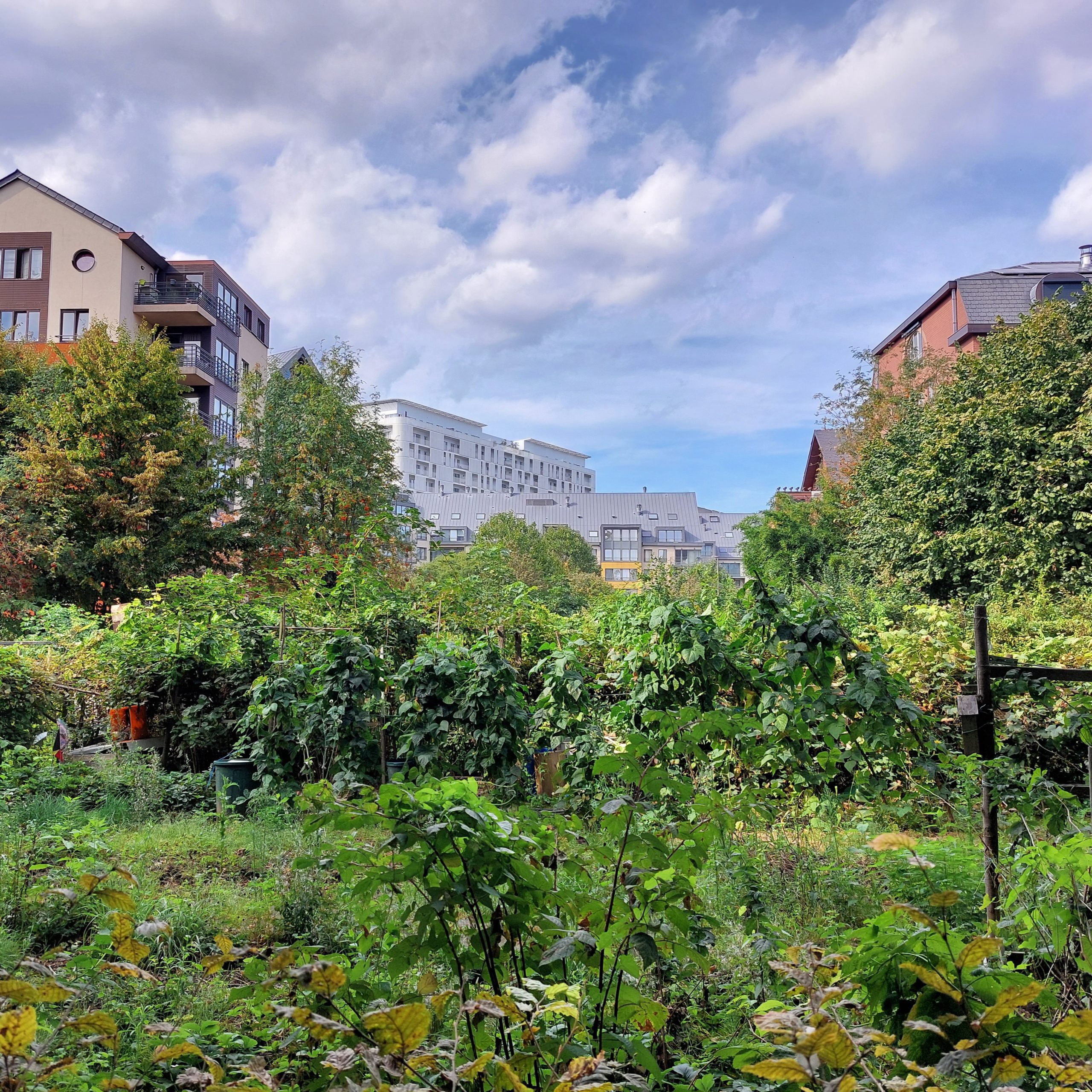 Arpenter la transition écologique par le terrain : territoires, luttes et pratiques